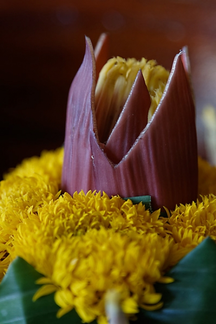 Loi Krathong 2012-040